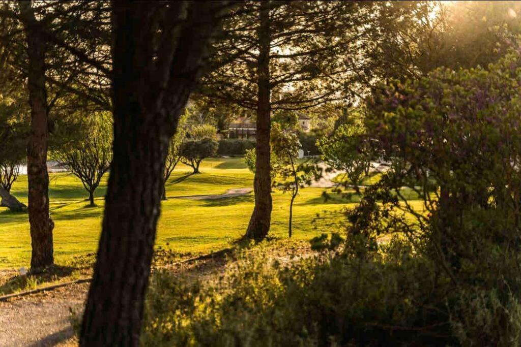 Moment De Detente Sur Le Golf De Pont-Royal 马勒莫尔 外观 照片